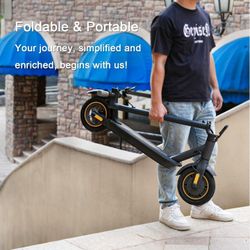 Adult 1plus E Scooter