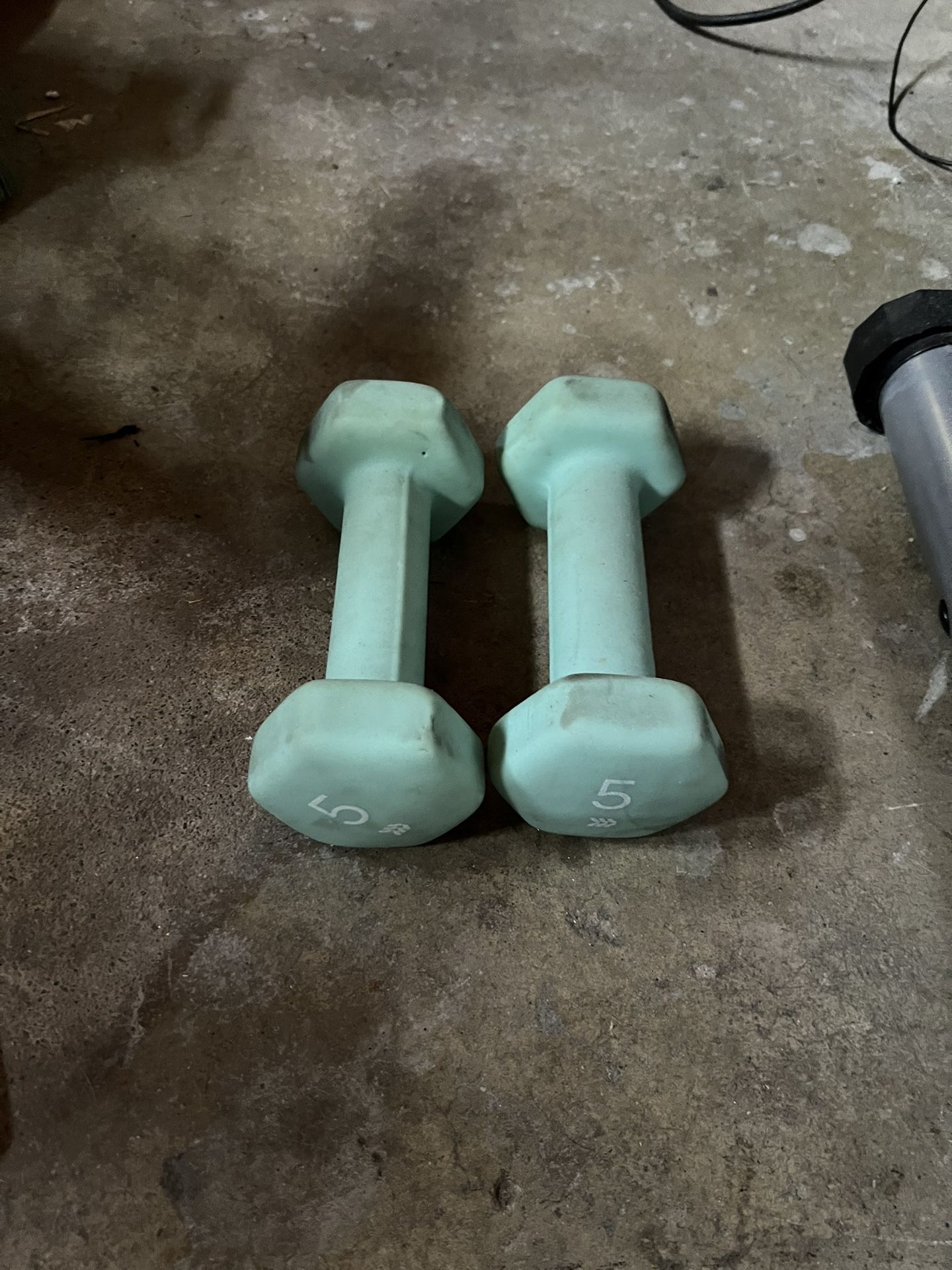 FREE 5lb Dumbbells