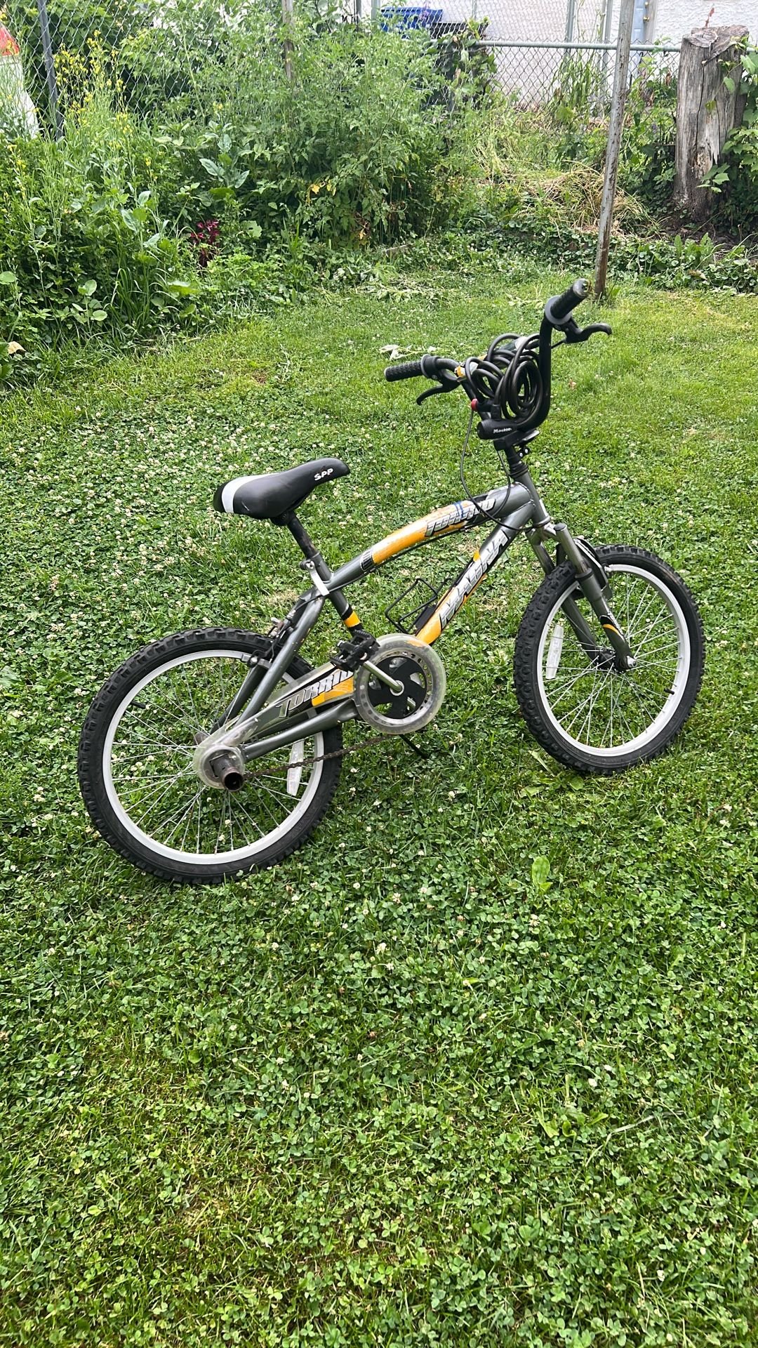 Torrid Magna Bike