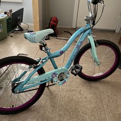 20” Schwinn Kids Bike