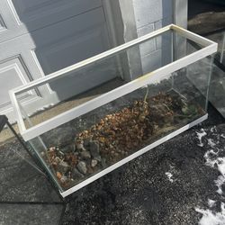 Reptile Tank/ Fish Tank 