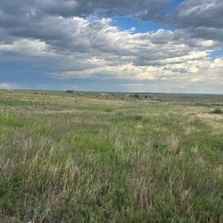 Land