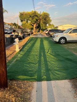 Artificial Grass
