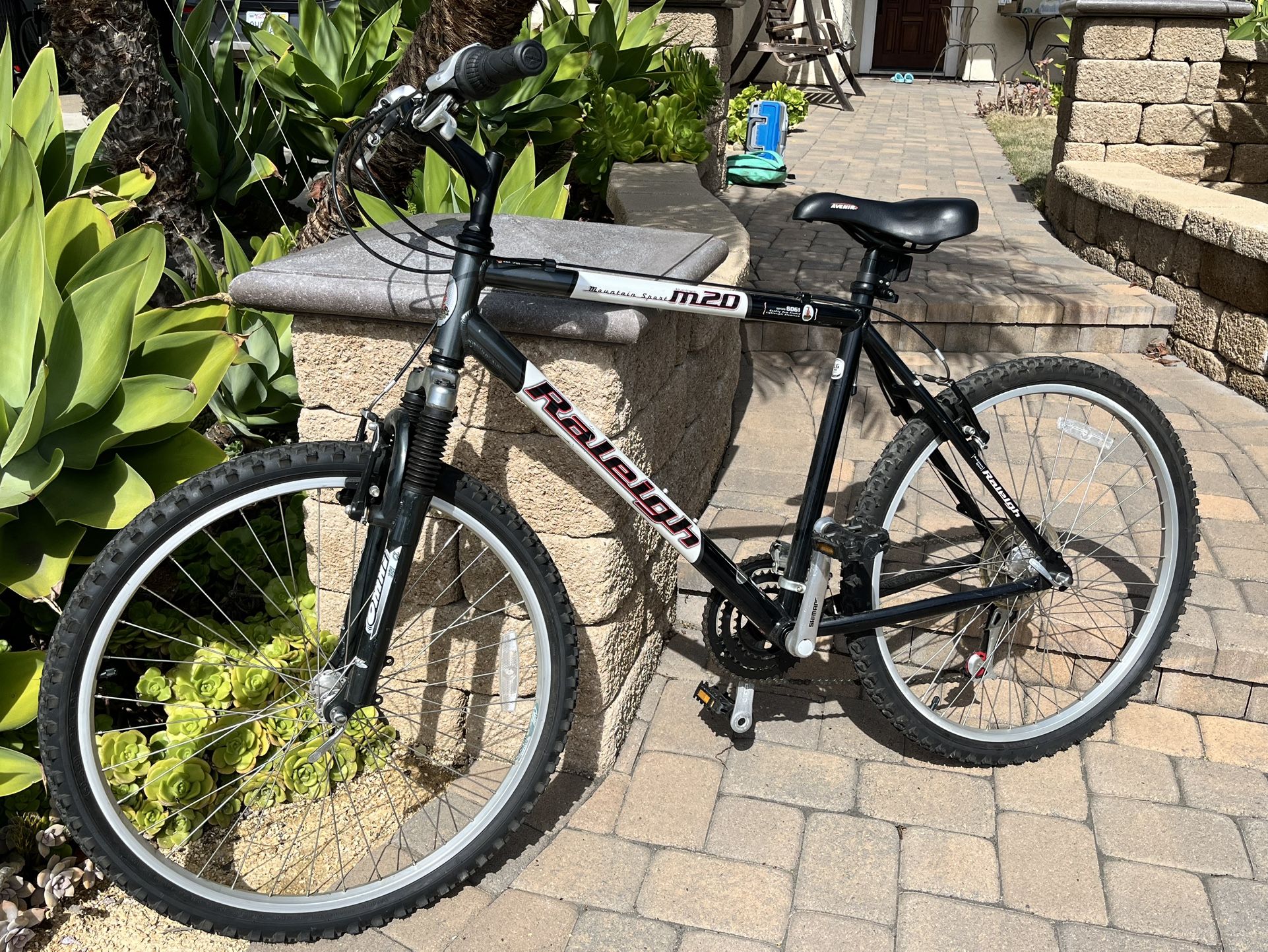 Mountain Bike 26 Inch