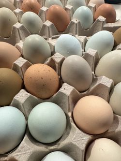 🥚🥚FRESH 🐓FREE🐓 RANGE 🥚🥚