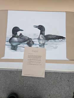 Several Prints