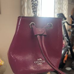 Coach little purse