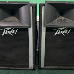 Peavey PA Enclosure with 15” Samson Speakers