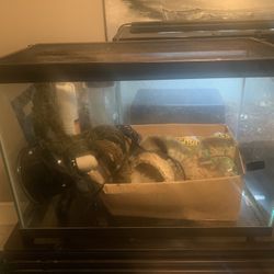 Reptile Tank With Supplies 