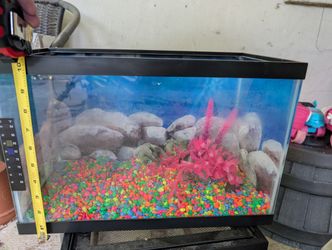 Pet Tanks (There Are Two) - 20 And 10 Gallon