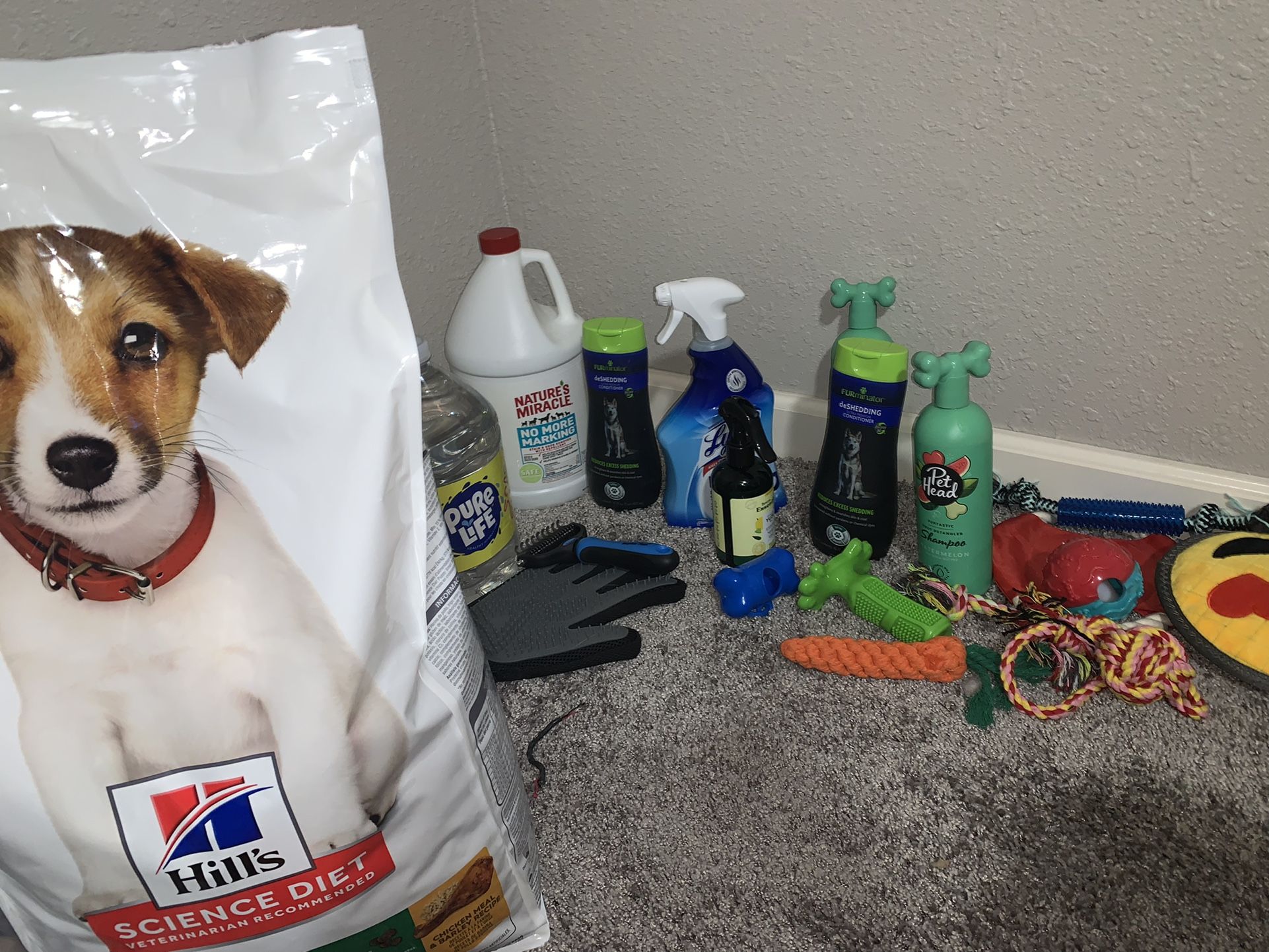 DOG SUPPLIES EVERYTHING NEEDS TO GO