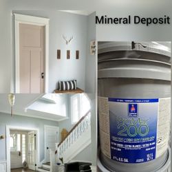 New 5 gallon interior paint 