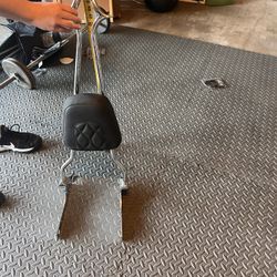 Sissy Bar