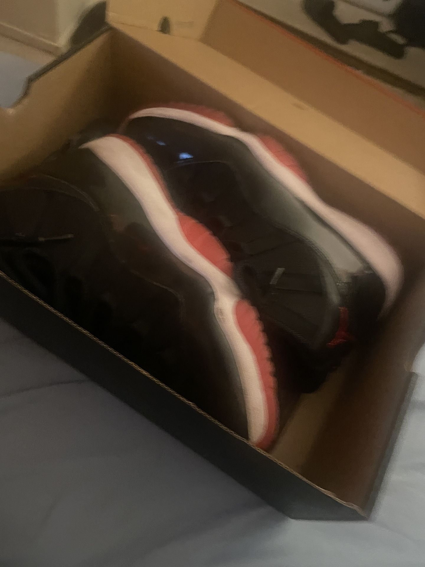 Jordan 11 Bred