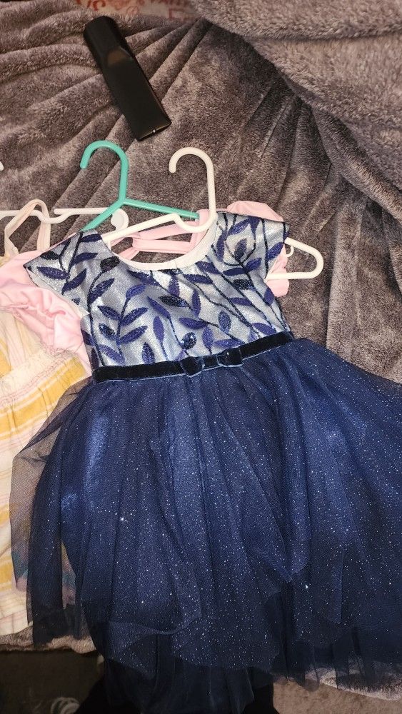 2t Girls Dress