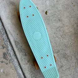 Ten Toes Penny Skateboard Great Shape 
