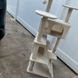 A Nice, Beautiful High  Multilevel Cat Tree