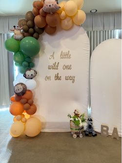 Party Arch Backdrop sleeve Writing