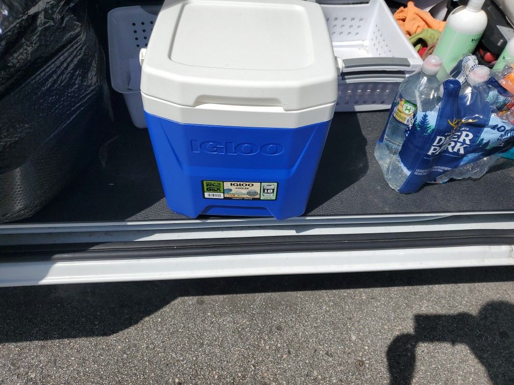Igloo 12qt Cooler