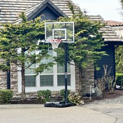 Lifetime Basketball Hoop