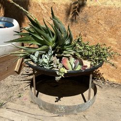 Fire pit Planter With Plants