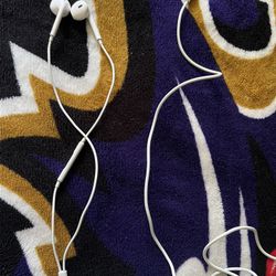 Apple Iphone Headphones 