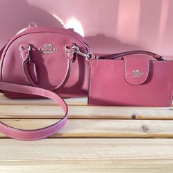 Authentic COACH Purse & Wallet Set