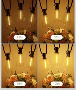 120FT Outdoor String Lights,