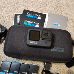 GoPro HERO9 Black Bundle Case Tripod Batteries Accessories Mounts