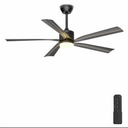 New fan in box