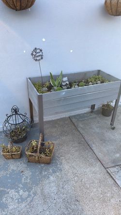 Free plants