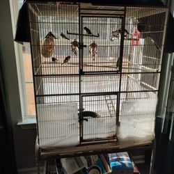 Bird Cage With Birds