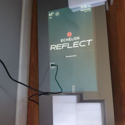 Echelon reflect  50" home gym workout touchscreen mirror 