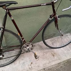 VINTAGE PANASONIC DX2000 XXL STEEL 12 SPD TALL PERSONS BIKE RIDES GREAT 💯
