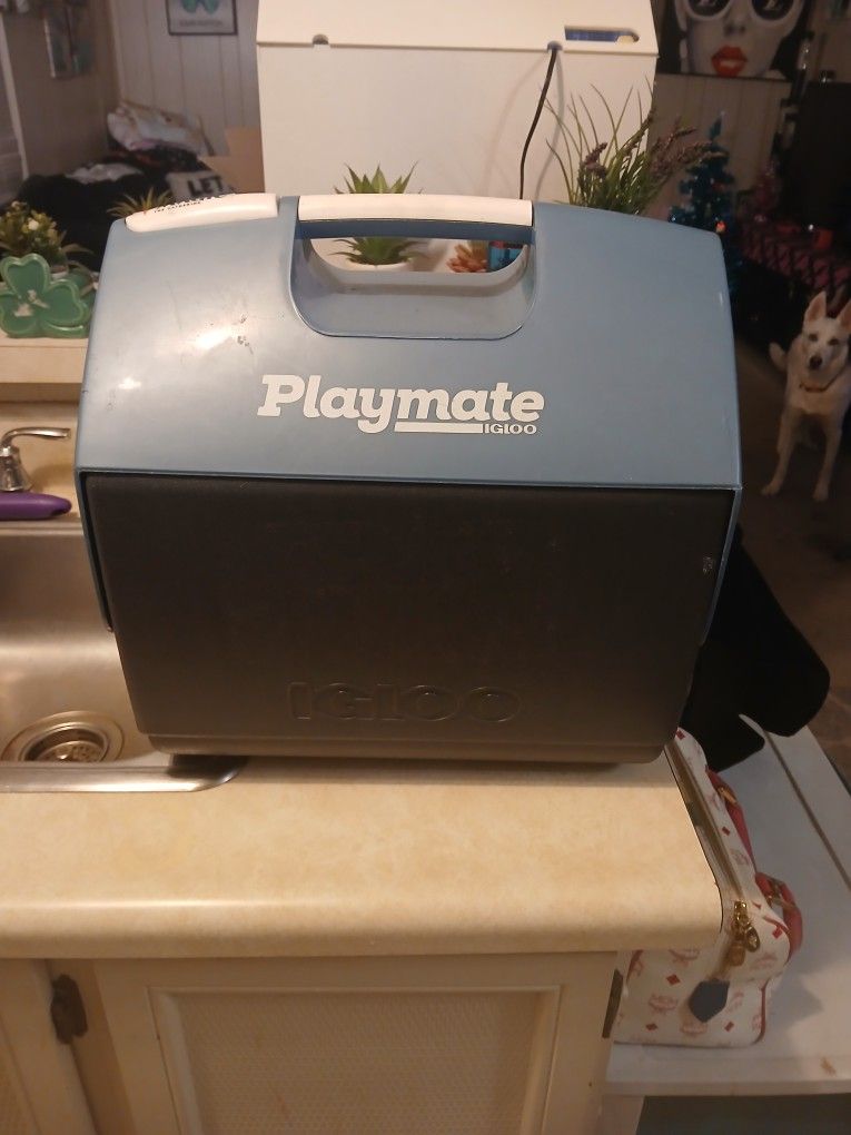 Playmate Igloo Cooler