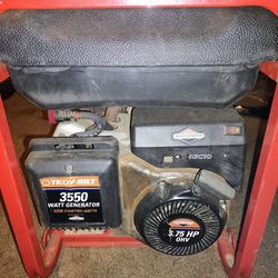 Troybilt Generator