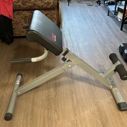 Hyperextension Roman Chair w/Back Extension