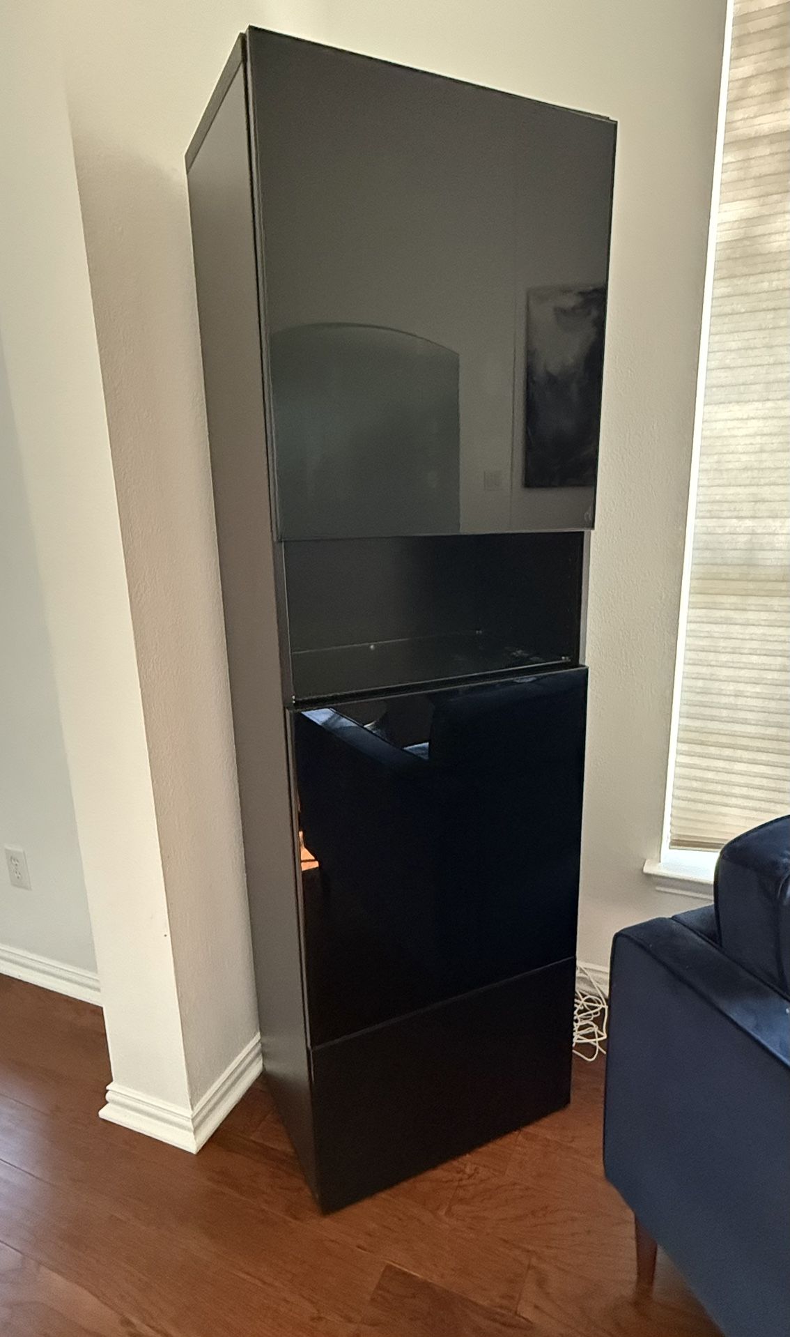 Ikea Besta Cabinet