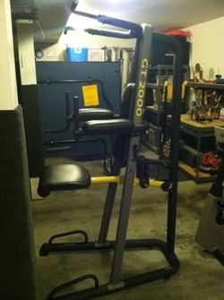 Gold s Gym Power Series GT 2000 assisted dip and pull up machine for Sale in Renton WA OfferUp
