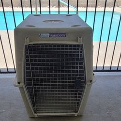 Dog Kennel 