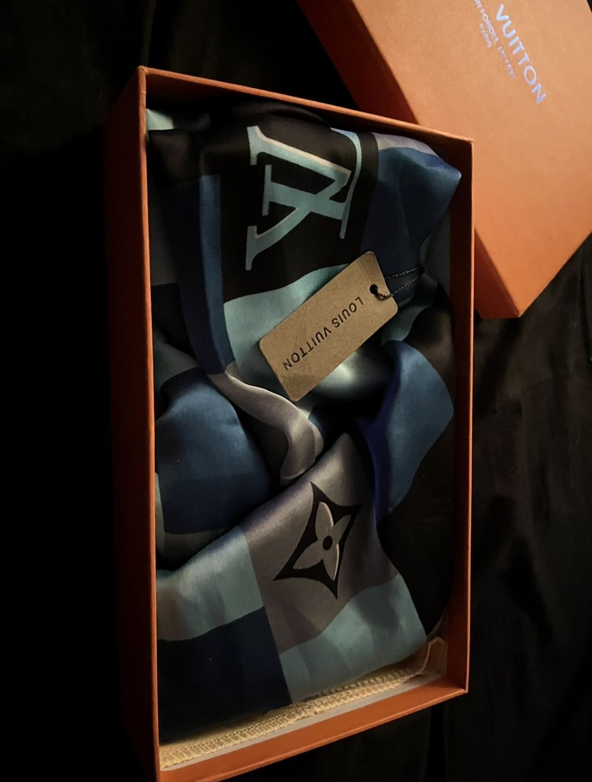 Louis Vuitton Scarf/Wrap