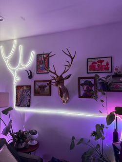 Metal Cast Stag Head (one antler broken)