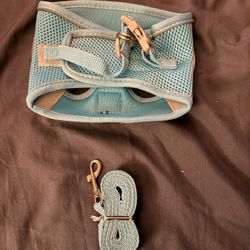 Brand New Harness And Leash Combo