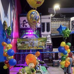 Wild Kratts Theme Centerpieces