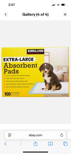 EXTRA-LARGE Absorbent Pads 50 sheets in a pack