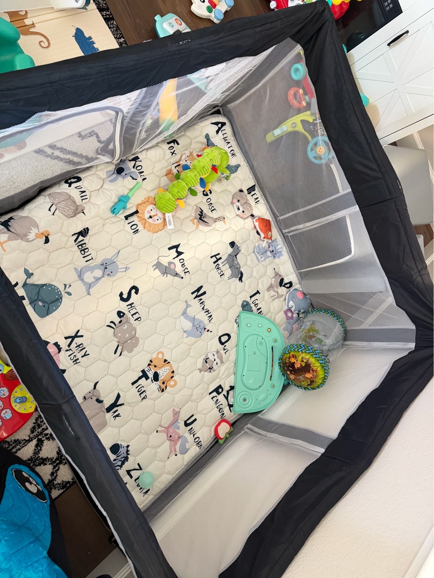 50x50 floor play pen
