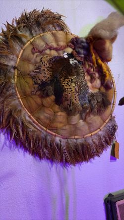 Native American Pheasant Shield