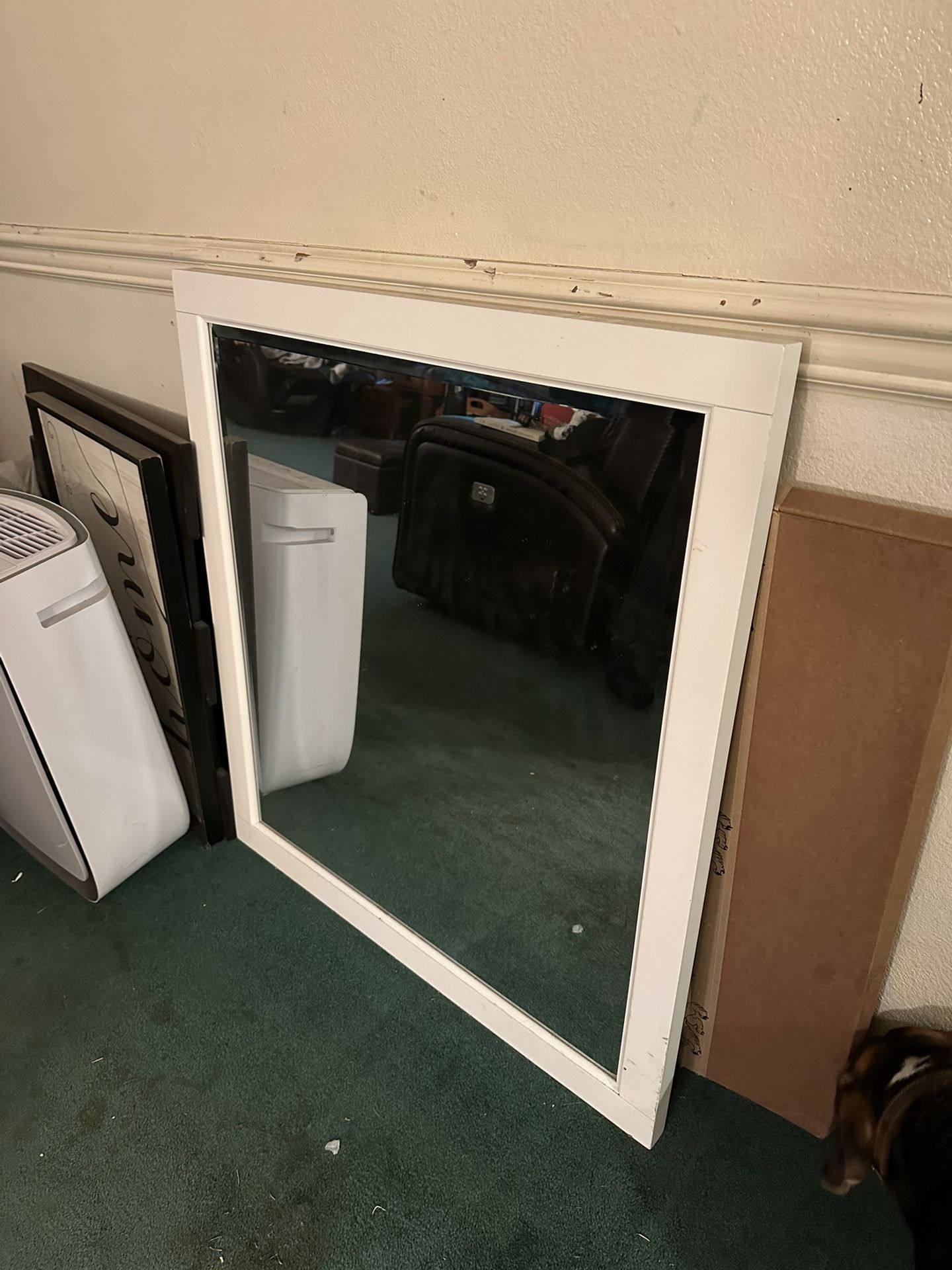 Large Mirror - Bathroom Entryway