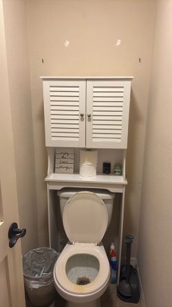 Toilet storage