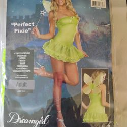 Dreamgirl Perfect Pixie Size Large 10-14 Costume